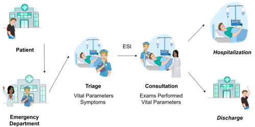 Hospitalization Prediction in the Emergency Department