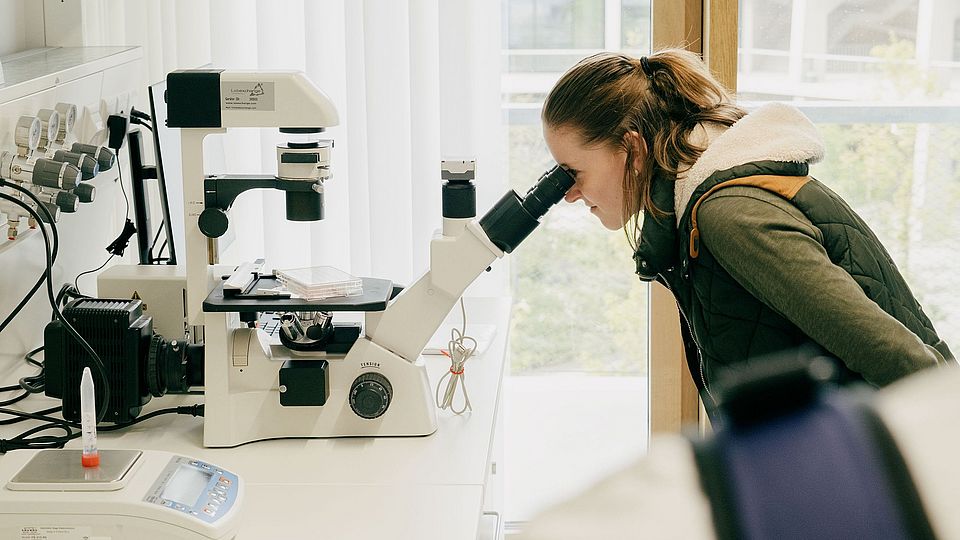 Lab Tour at the PhD Day