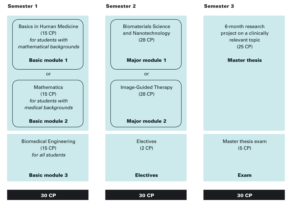 curriculum