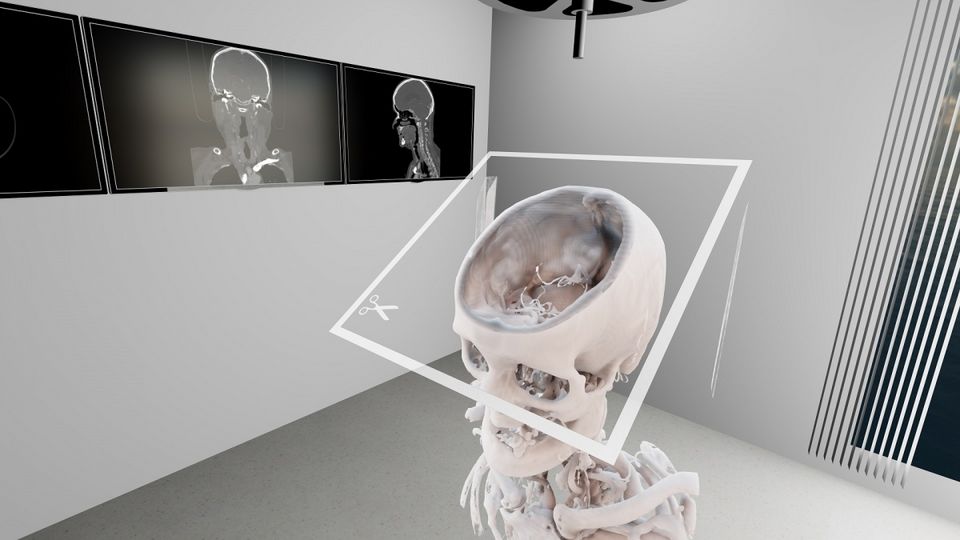 VR01