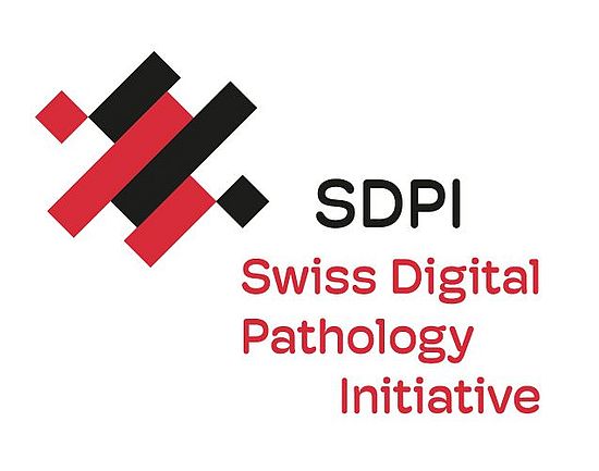SDPI Logo