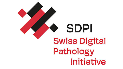 SDPI Logo