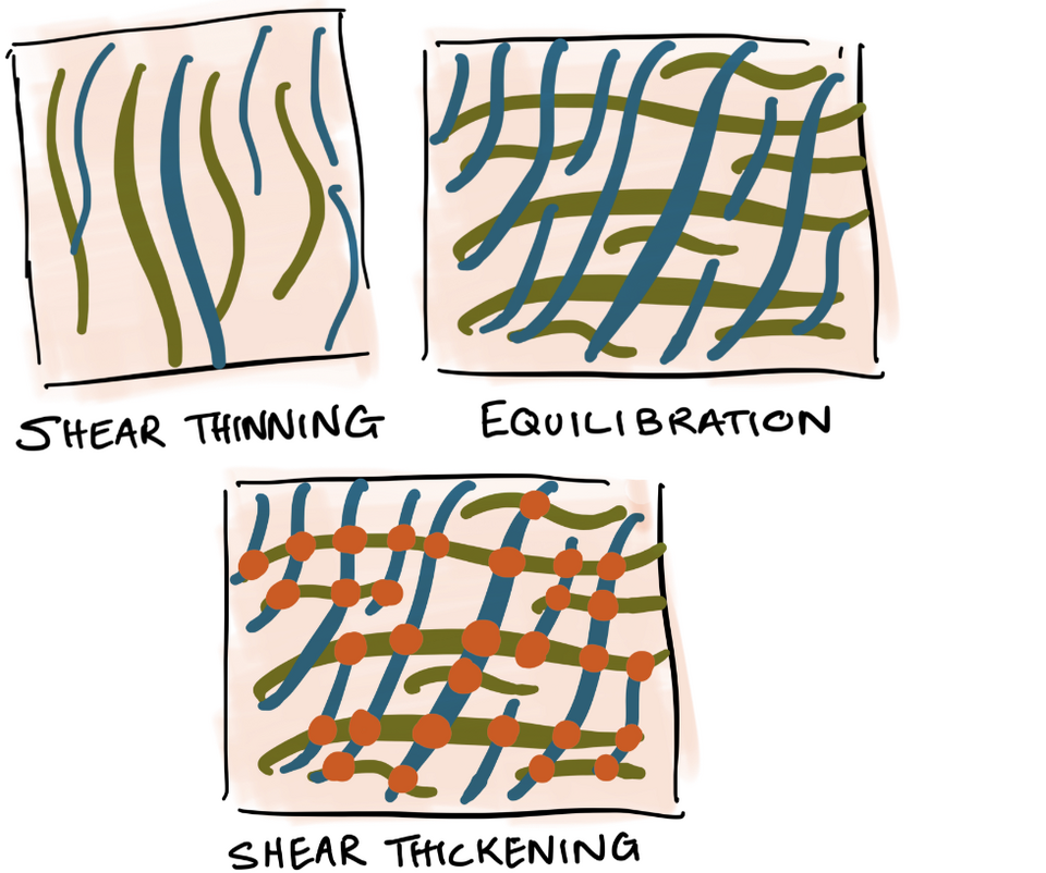 Cartoon graphically illustrating the variations in hydrogel structure during shear thinning, equilibrium and shear thickening