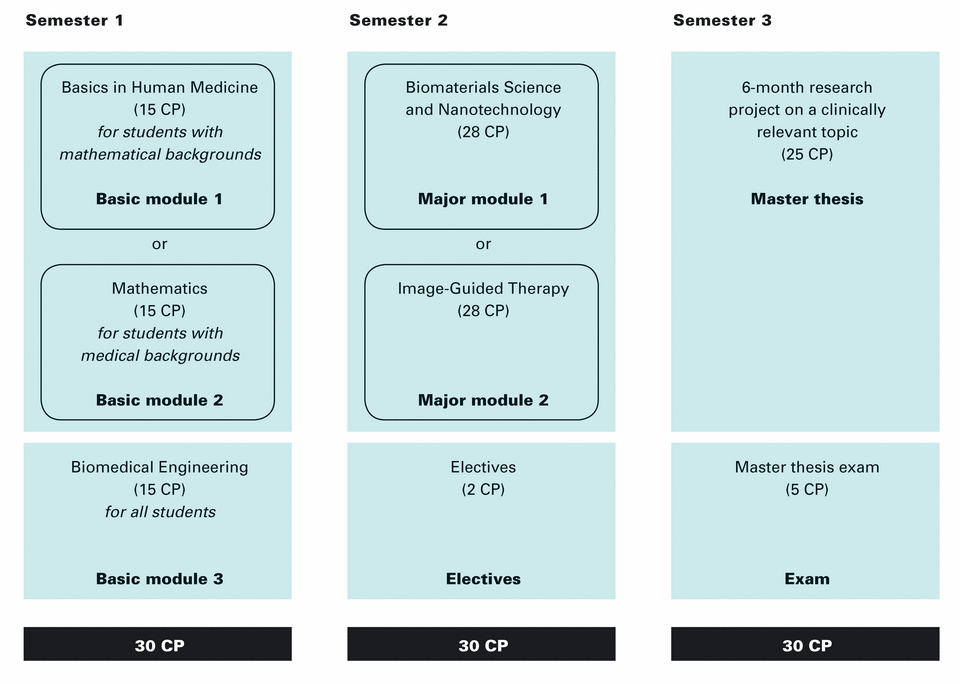 curriculum
