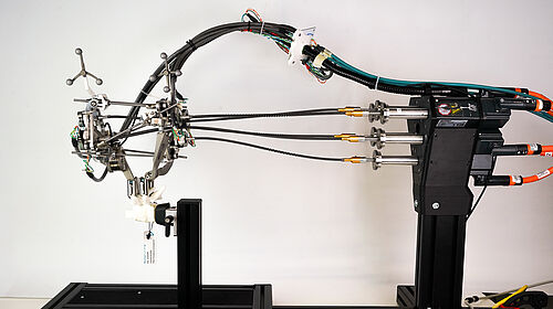 inSEA2 SpineBot: Mechanical Response Assessment of Adolescent Idiopathic Scoliosis Patients
