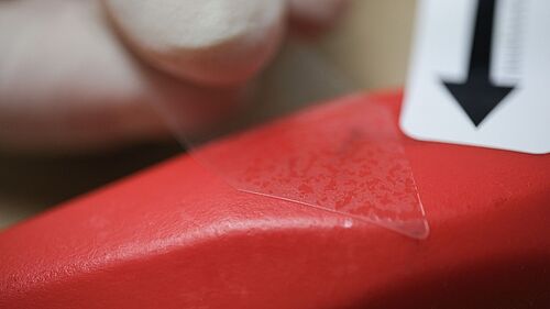 Teaser image for Forensic Genetics research group