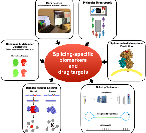 Splicing-specifc Biomarker Thumbnail