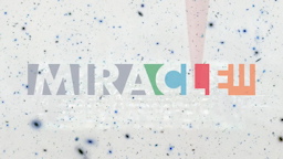 animated gif with excerpts from the MIRACLE video