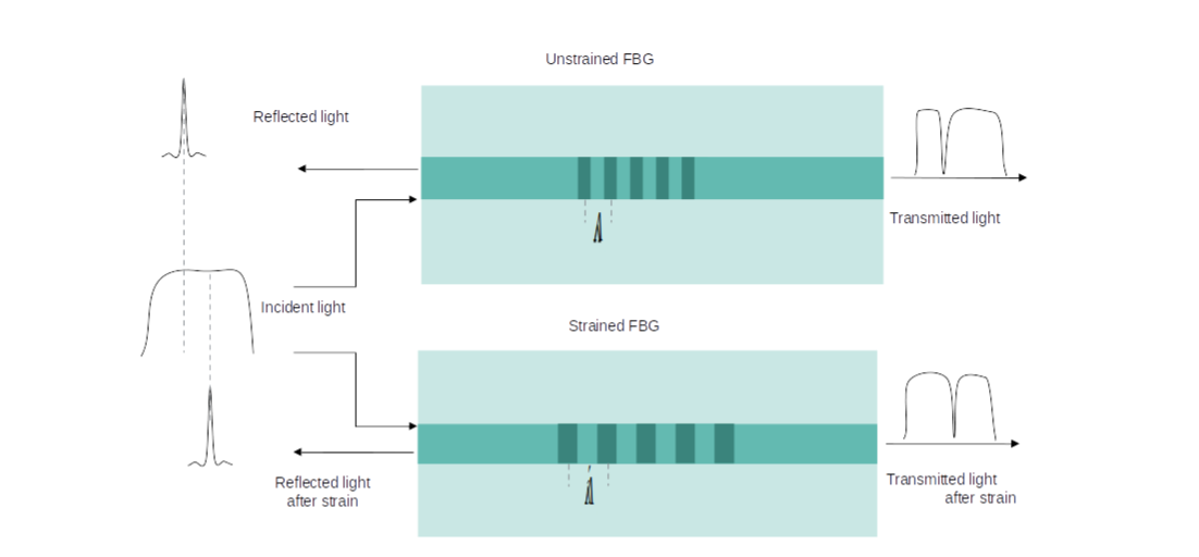 Fbg interrogation thesis 08 image